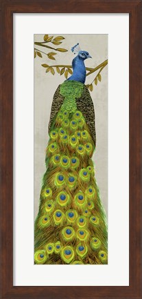 Framed Vintage Peacock I Print