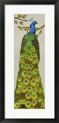Framed Vintage Peacock I Print