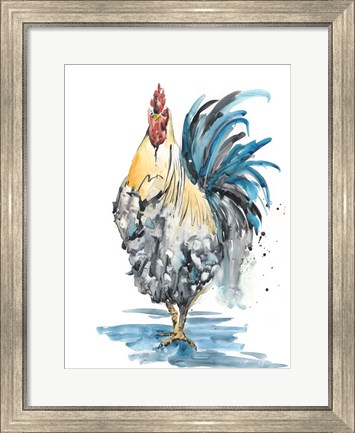 Framed Rooster Splash II Print