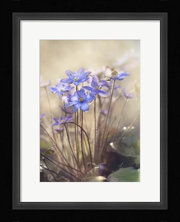 Framed Spring Print