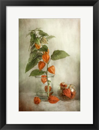 Framed Lanterns Print