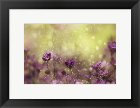 Framed Purple Dream Print