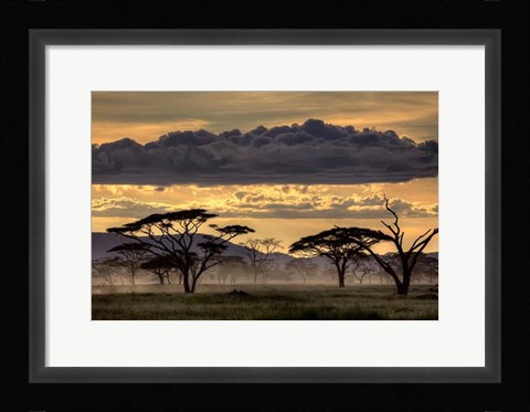 Framed Good Evening Tanazania Print