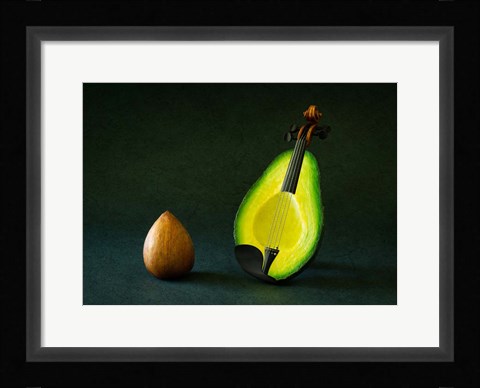 Framed Aviolin Print