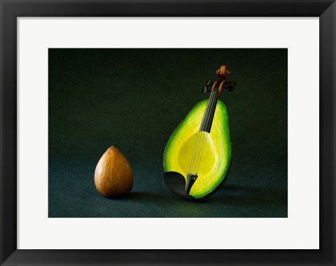 Framed Aviolin Print