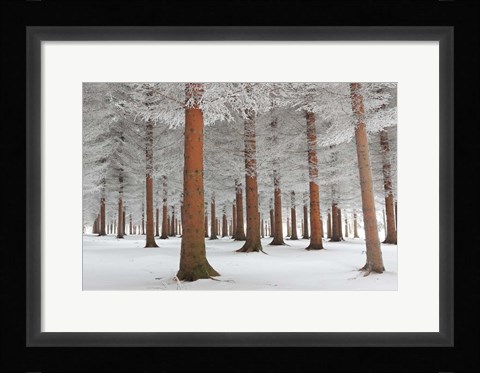 Framed In White Print