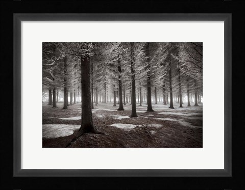Framed Onset Of Winter Print
