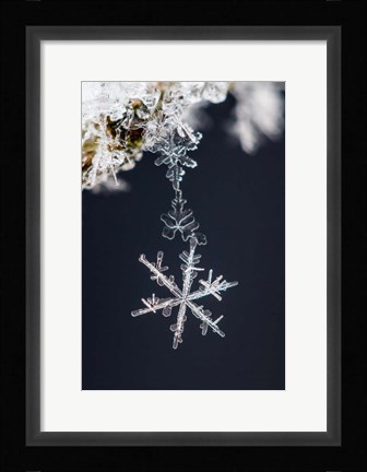 Framed Pendant Print