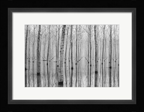 Framed Novembre 2014 Print