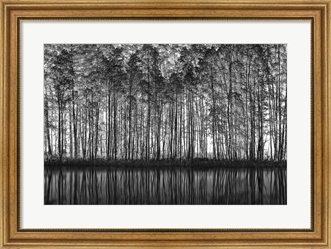 Framed Pointillism Nature Print