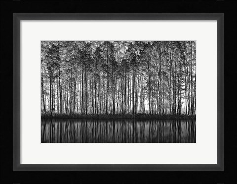 Framed Pointillism Nature Print