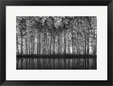 Framed Pointillism Nature Print