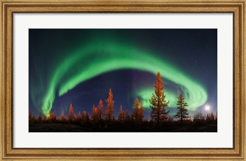 Framed Northern Lights Print