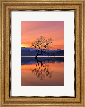 Framed Lone Tree Is Not Lonely Print