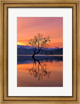Framed Lone Tree Is Not Lonely Print
