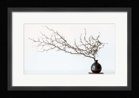 Framed Vase And Branch Print