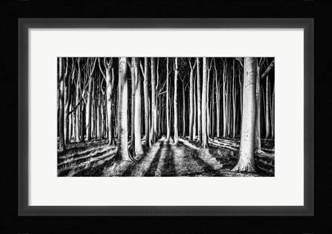 Framed Ghost Forest Print