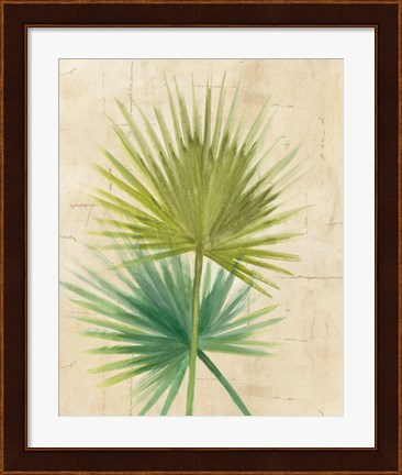 Framed Fan Palm Print