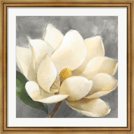 Framed Magnolia Blossom on Gray Print
