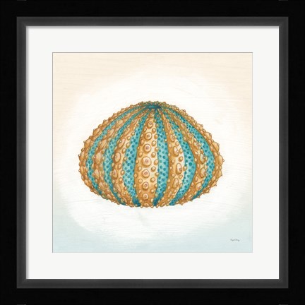 Framed Boardwalk Urchin Print