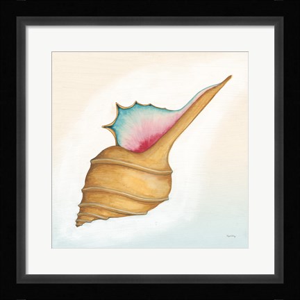 Framed Boardwalk Murex Print