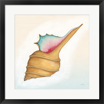 Framed Boardwalk Murex Print