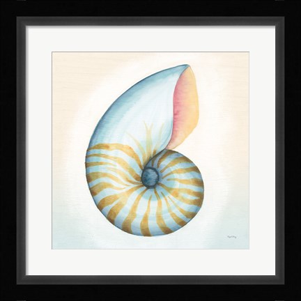 Framed Boardwalk Nautilus Print
