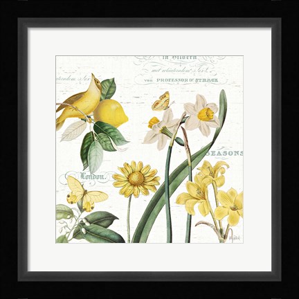 Framed Citron Curiosities II Print