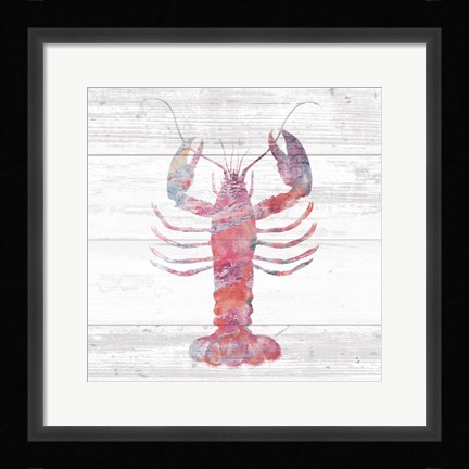 Framed Ocean Life II Print