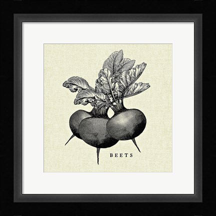 Framed Linen Vegetable BW Sketch Beets Print