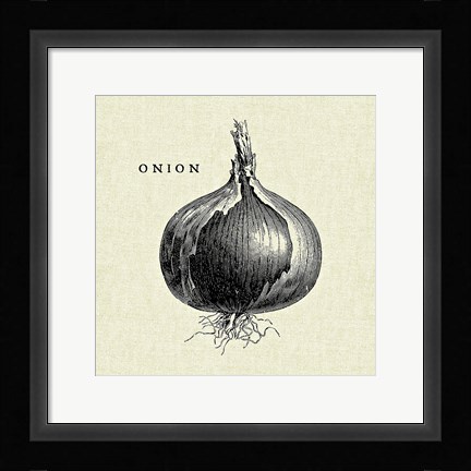 Framed Linen Vegetable BW Sketch Onion Print