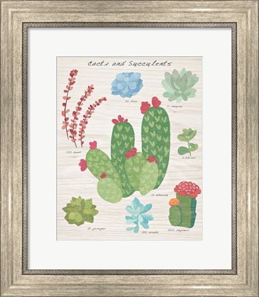Framed Succulent and Cacti Chart IV on Wood Print