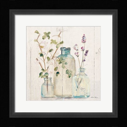 Framed Blossoms on Birch V Print