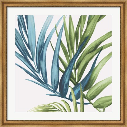 Framed Palm Leaves IV Print