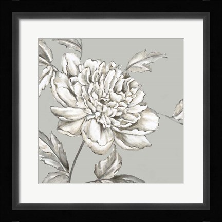 Framed Botanical II Print