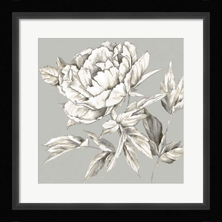 Framed Botanical III Print