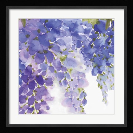 Framed Wisteria II Print