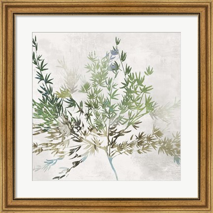 Framed Olive Branch Print