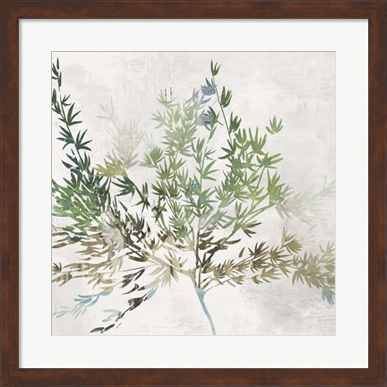 Framed Olive Branch Print