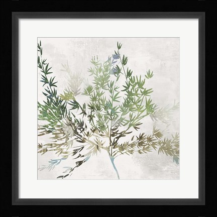 Framed Olive Branch Print