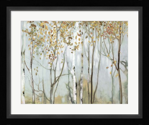 Framed Birch in the Fog II Print