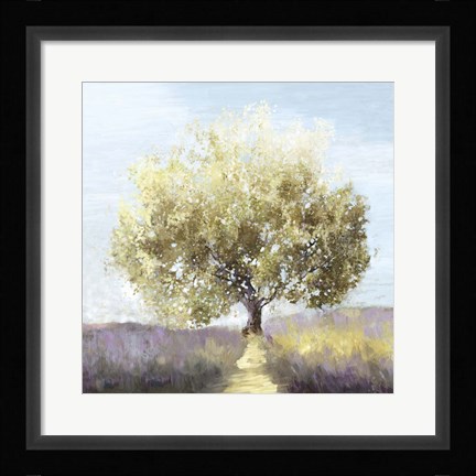 Framed Province Print