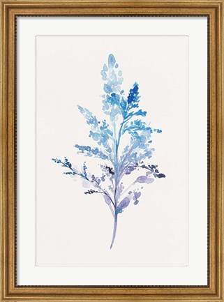 Framed Whimsical Botanical II Print