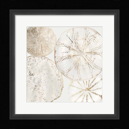 Framed Sea Patterns II Print