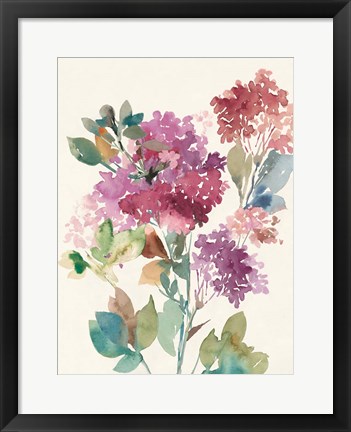 Framed Sweet Hydrangea II Print
