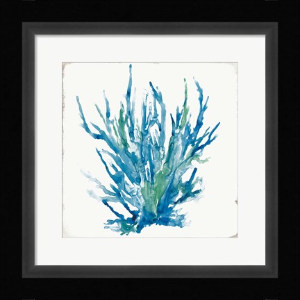 Framed Blue Coral I Print