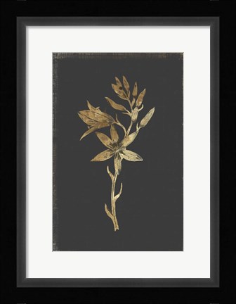 Framed Botanical Gold on Black I Print
