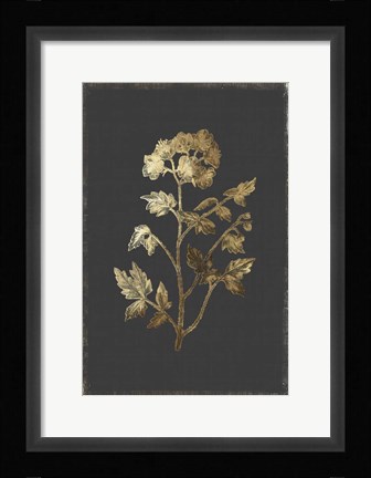 Framed Botanical Gold on Black II Print