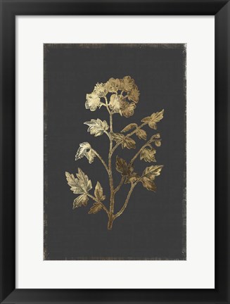 Framed Botanical Gold on Black II Print