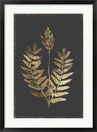 Framed Botanical Gold on Black III Print